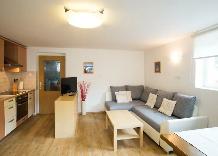 Apartment Ani