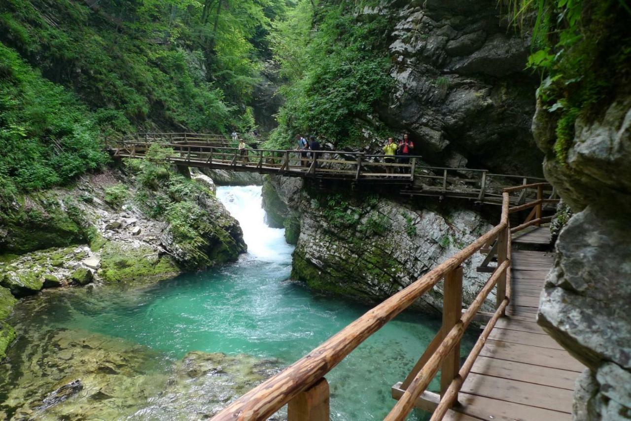Ani Apartamento Bled